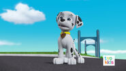 PAW Patrol Pups Save a Flying Kitty 16