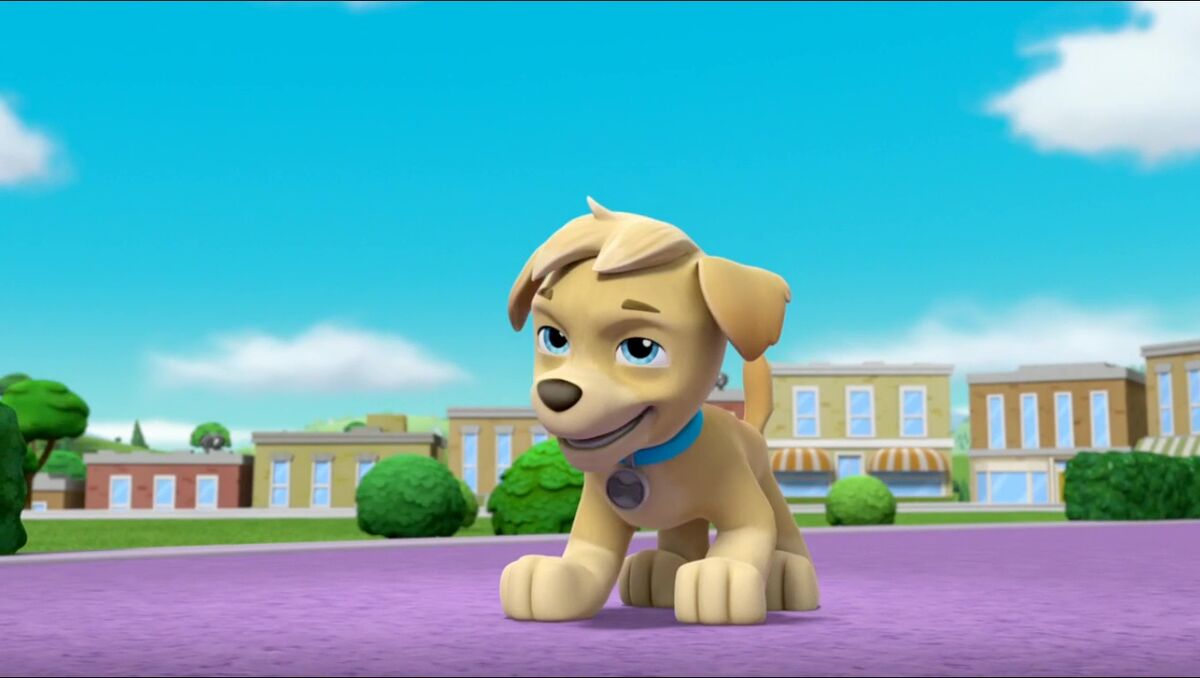 るーのすけella tuck alapants Paw Patrol Mighty Twins Tuck and Ella Super Paws Pup & Badge