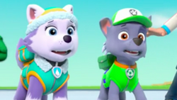 Paw patrol rocky and everest top