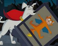 Krypto-Cat-Trouble-Video 0