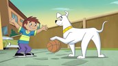 Kevin play basketball with Krypto