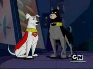 Ace krypto