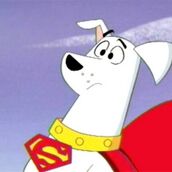 248573-107495-krypto