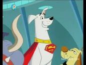 A plan for krypto