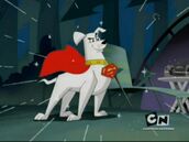 Krypto 0003