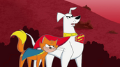 Krypto and Streaky