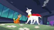 Streaky and Krypto