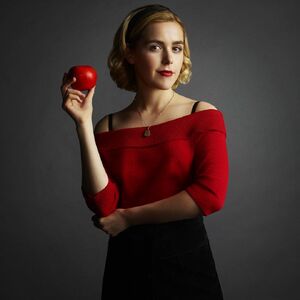 Chilling Adventures Of Sabrina Wiki Fandom Sabrina the teenage witch is an american television sitcom created by nell scovell, based on the archie comics series of the same name. chilling adventures of sabrina wiki