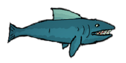 Shark