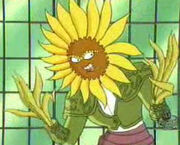 Elseed