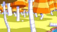 S7e22 candy trees next to river