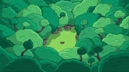 M (5).jpg (109 KB) La foresta dove Finn e Lady Iridella hanno ricevuto gli Anelli del Potere -Sfondo-