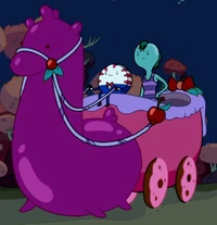 Cavallo Gelatina