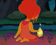 Capture flame princess