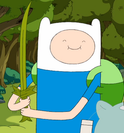 , Finn.png