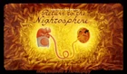 Titlecard S4E5 returntothenightosphere.jpg