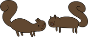 Squirrels.png