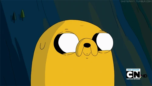 de que raza es jake el perro