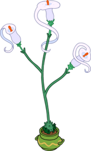 Princess Plant (1)