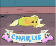 Charlie.png
