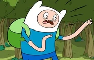Scared finn.jpg (22 KB)