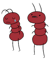 Ants.png