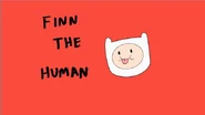Finn-the-human.jpg (16 KB) The picture of Finn the Human in the Adventure Time intro.