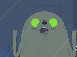 Zombie Jake, Adventure Time Super Fans Wiki