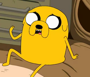 Jake the dog2