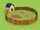 Hot Dog Kingdom