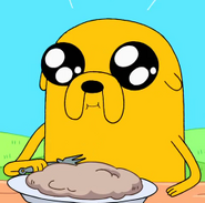 Jake the dog18