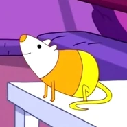 Sciencetherat.jpg (37 KB)