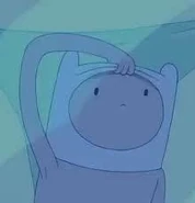 Mirror Finn.jpg (4 KB)