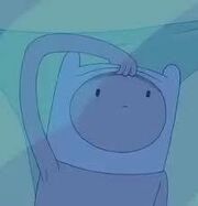 Mirror Finn.jpg