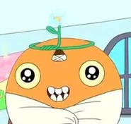 Grassland Princess Crown