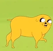 Jake1.png (35 KB)