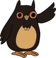 OwlMOBBM