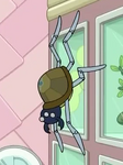 Spider-turtle.png