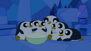 S5 e24 Penguins2