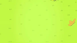 Island Song blank loop