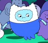 Бугристый Финн