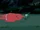 S5 e17 BMO dragging the baby through the forest.PNG