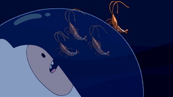 Does the Obsessive 'Adventure Time' Fandom Overlook the Depths of
