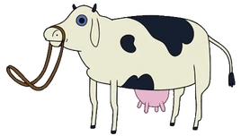 Cow 5 Short Graybles