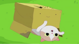 S5 e37 cat rolling over