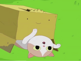 Box Prince (character)