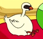 The Silent King Bird