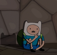 S7e24 Finn