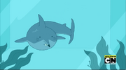 Shark-mouse.png