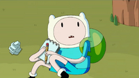 FINN BL